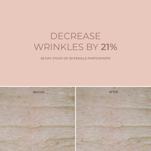 Load image into Gallery viewer, INIKA Organic Phytofuse Renew Resveratrol Night Cream 50ml